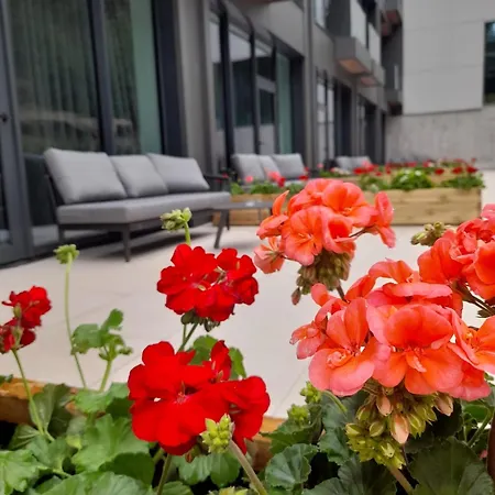 Hotel Pestera Wellness & Spa Moroeni Exterior photo