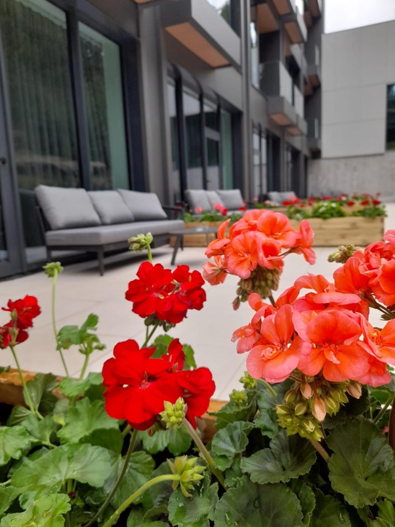 Hotel Pestera Wellness & Spa Hotel 5*